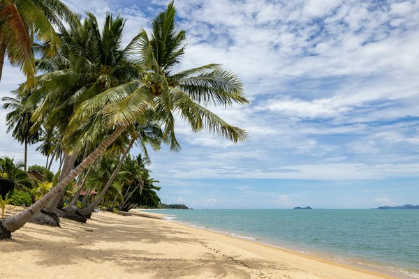 Top lieux pour séminaires en france : les hôtels à choisir